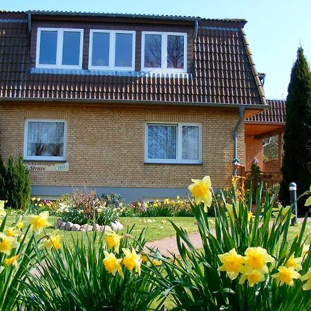 Ferienwohnung Struve Nr4 Petersdorf auf Fehmarn Exteriér fotografie